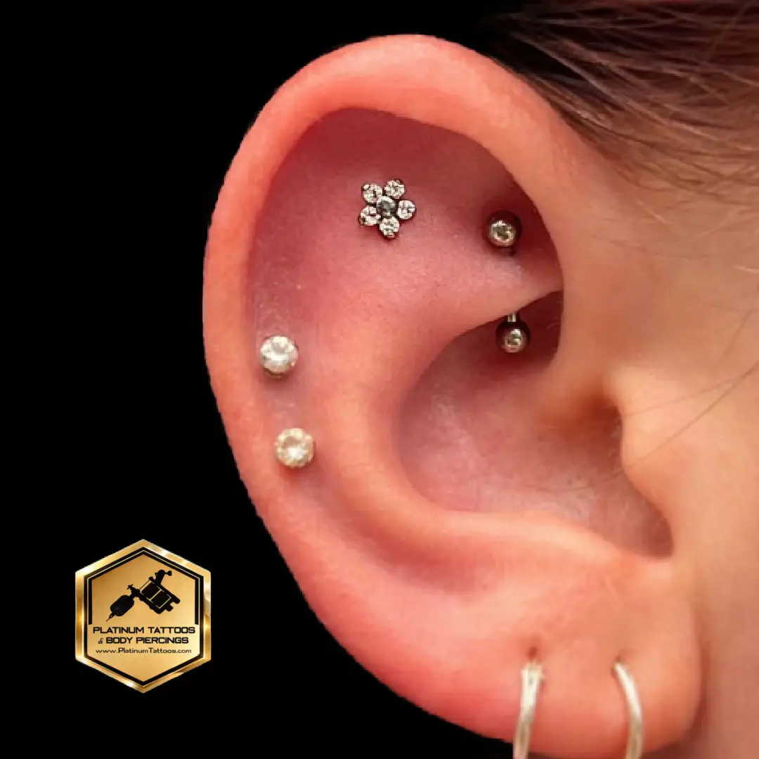 Curated ear piercing jewelry styling at Platinum Tattoos & Piercings